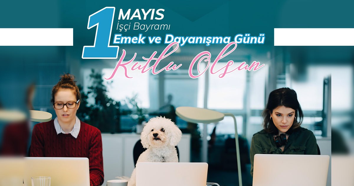 #1mayıs Emek ve Dayanışma Günü Kutlu Olsun✊