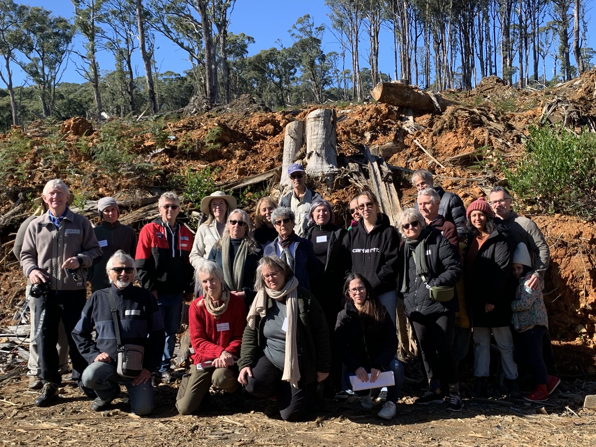 ninakillham's tweet image. Our groups of concerned Victorians are growing bigger and more horrified by the logging coupes hidden in the #Victorianforests. They are seeing the damage left by unsustainable logging. They are getting angry @DanielAndrewsMP. Please #stopnativelogging NOW. #savethetrees