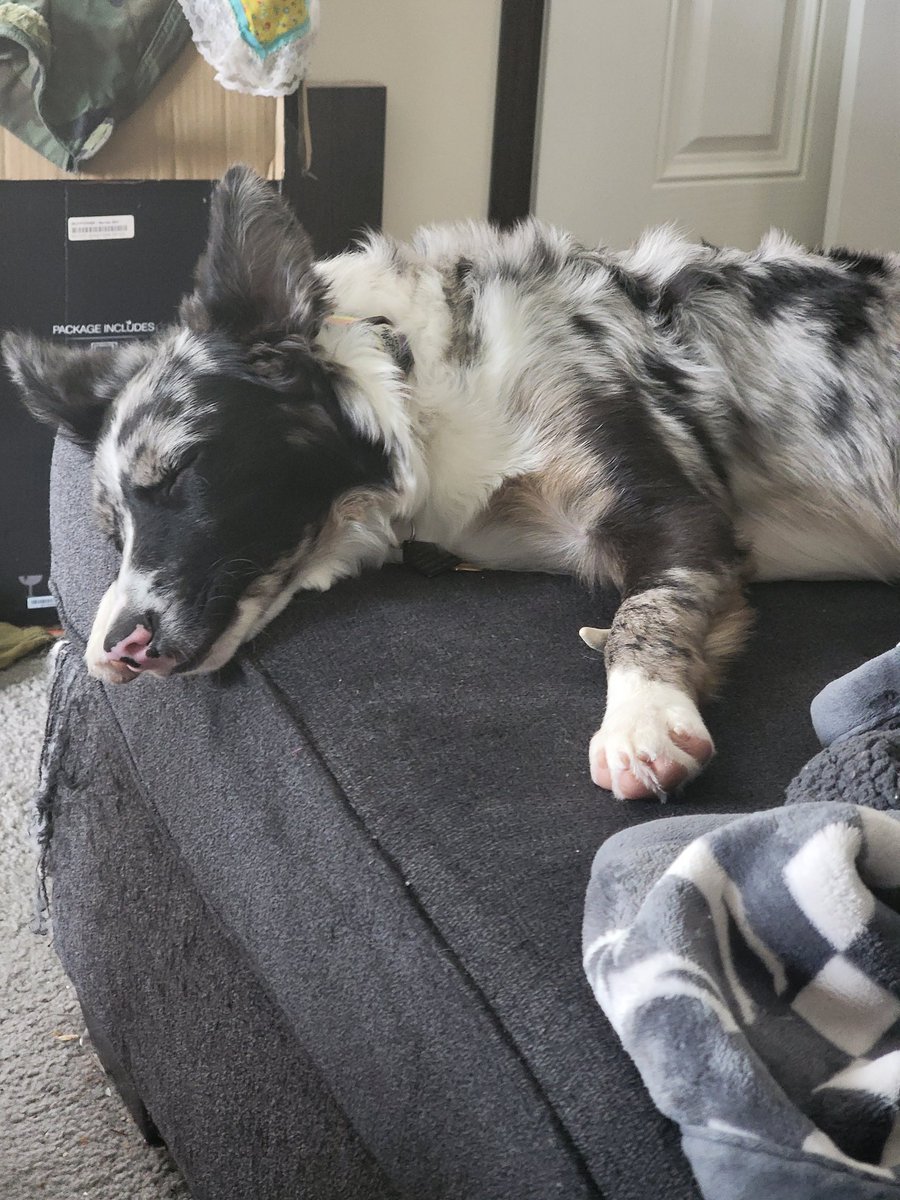 // this guy is the reason I'm not on a lot rn