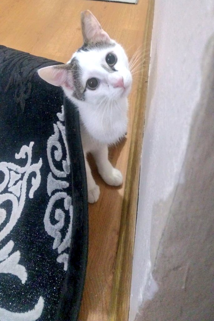 Ece🦋 (@ecemartt) on Twitter photo 