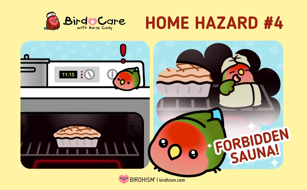 Don't let your bird try to turn your kitchen into a spa. It will not end well.