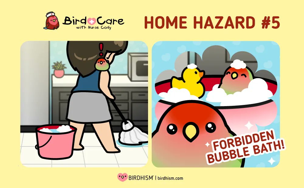 Don't let your bird try to turn your kitchen into a spa. It will not end well.