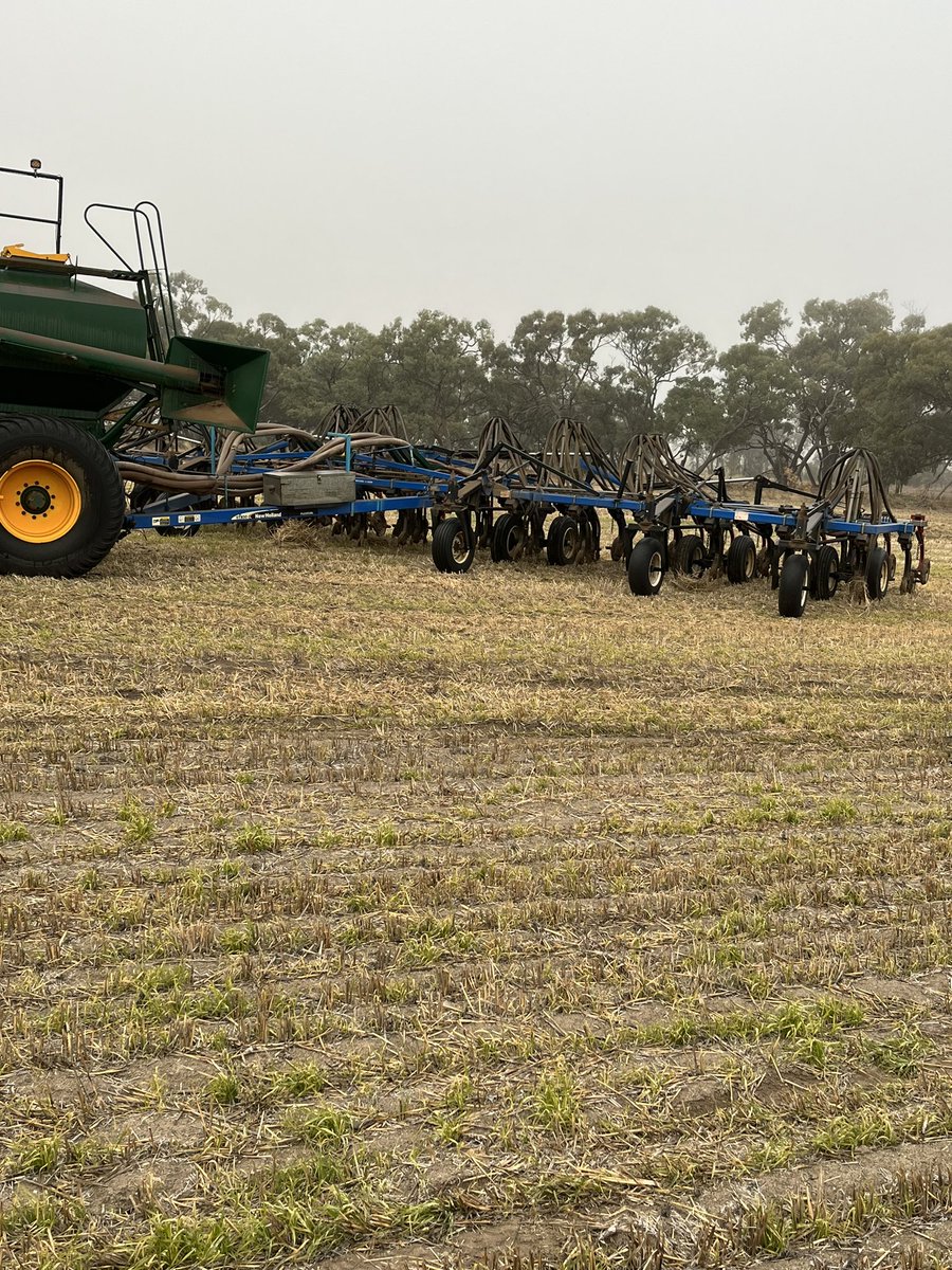 Chris schnaars tweet media