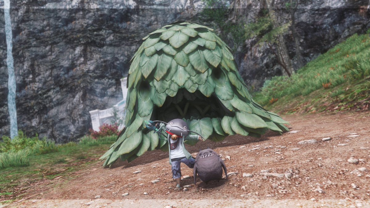 AdaHunters's tweet photo. Not only was Adamantoise's own Namazu Son the only one of 16 to get the Tiny Troll minion in 60 dungeon runs(!!!). It was also their birthday this past Thursday! 
If you see Ihuaijo Zusu around, wish them a very Happy Birthday!

May their feet always *squish squish* as they walk. https://t.co/4MjYfsNKvK
