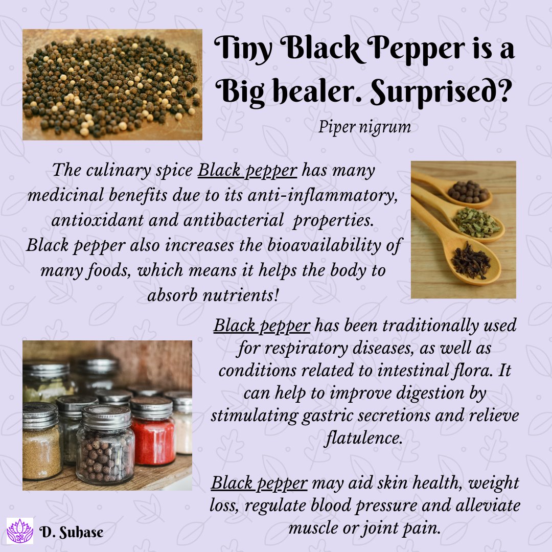 Wholistic_Suhas's tweet photo. Always combine #blackpepper with Turmeric. Black Pepper aids our bodies with absorbing Curcumin. Curcumin is an active compound found within Turmeric and it is well known for its powerful and potent #health benefits. #spices 
 
#wholisticsuhas https://t.co/7zoRy2QuIp
