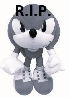 cory_hedgehog's tweet photo. #RIPKNUCKLES very sad day people https://t.co/ZHcq4fwksF