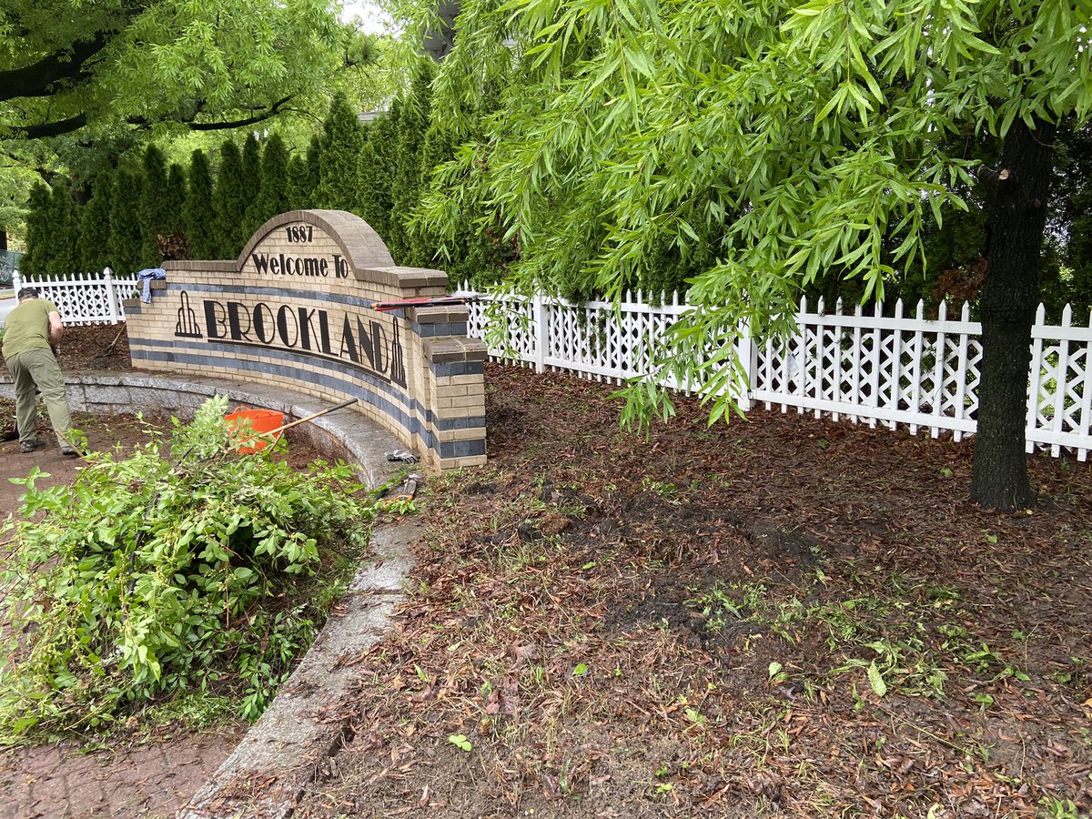Slimward1's tweet photo. .@311DCgov A group of community members came together today to beautify the flower bed around the Brookland sign. Can the city please come remove the brush that was gathered and piled there? https://t.co/eUfLOKN7rr