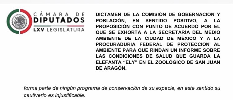 AJaulas's tweet photo. El Poder Legislativo de México exhorta a @SEDEMA_CDMX y a @PROFEPA_Mx a rendir informe sobre #Ely. 

Su evaluación deberá realizarse por organizaciones sin vínculos con el @GobiernoMX, para evitar una posible parcialidad. 

#JusticiaParaEly 🐘
#NoAlCautiverioDeElefantes
#FreeEly https://t.co/XGLF7q5LJw