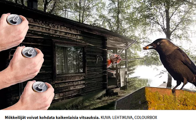 OzzyNicc's tweet photo. En tiedä kuka Xx_Graphic_Design_L0ver_xX siellä Iltasanomissa on tän kansikuvan taustalla, mutta on kyllä kerrassaan upea! @iltasanomat #iltasanomat https://t.co/Dt9Mle22Al