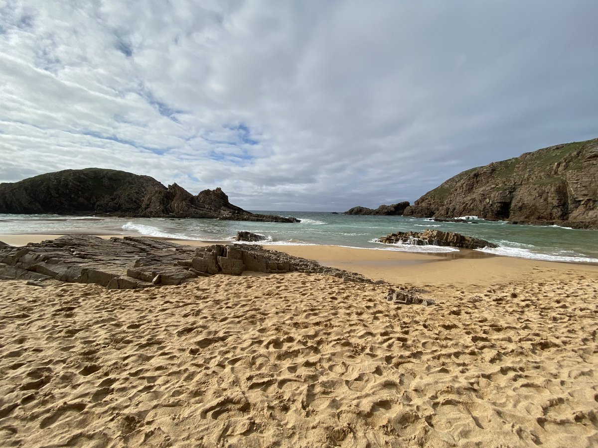 Marie Batey🌿🤍🌼 tweet media