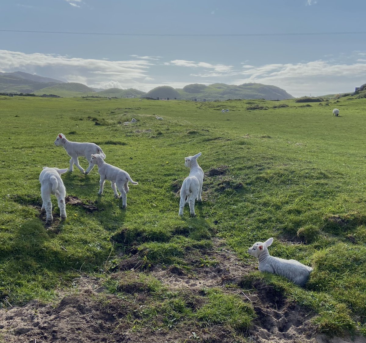 Marie Batey🌿🤍🌼 tweet media