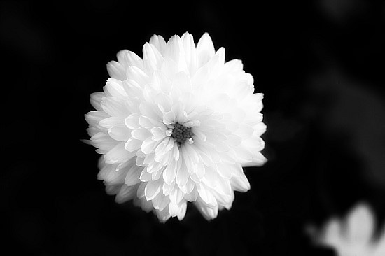 잠깐쉬다올게요 ..