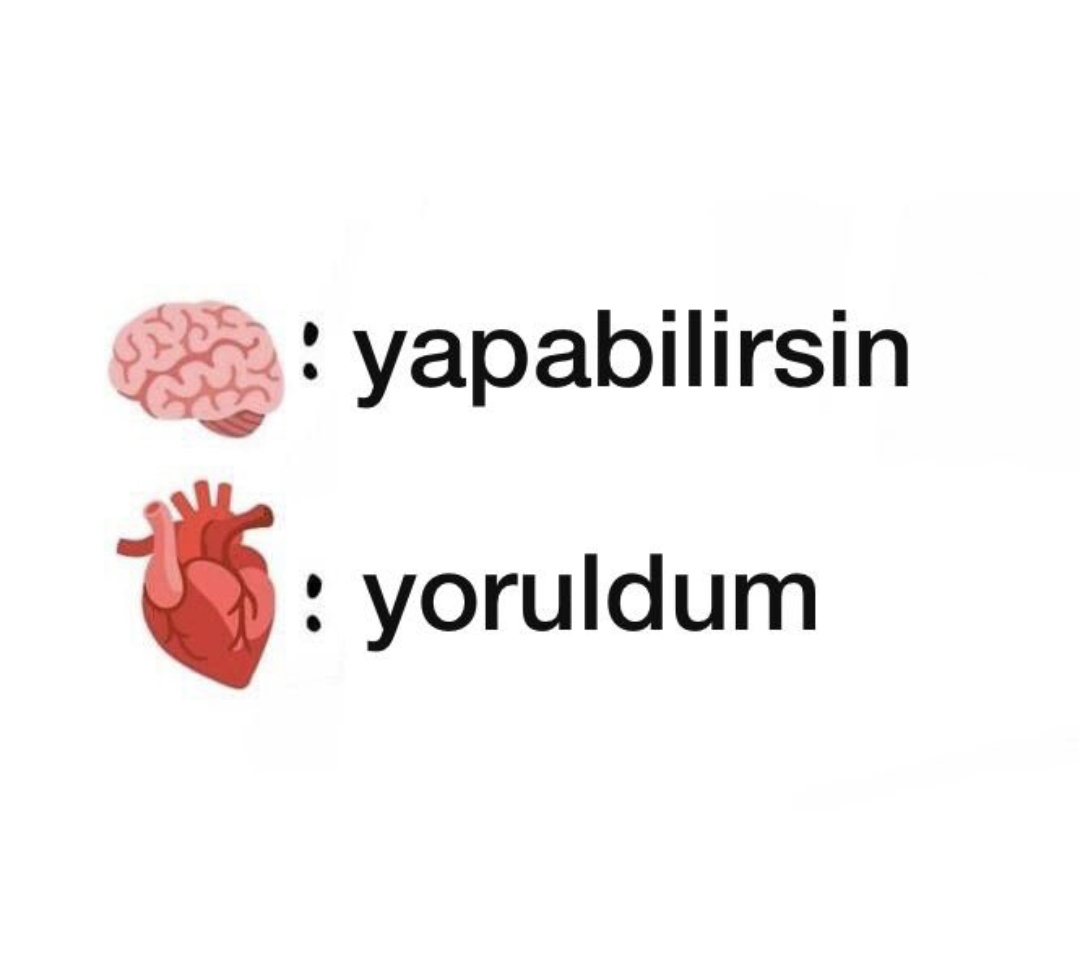 Feryalin_'s tweet photo. https://t.co/hlmqwYC1Ea