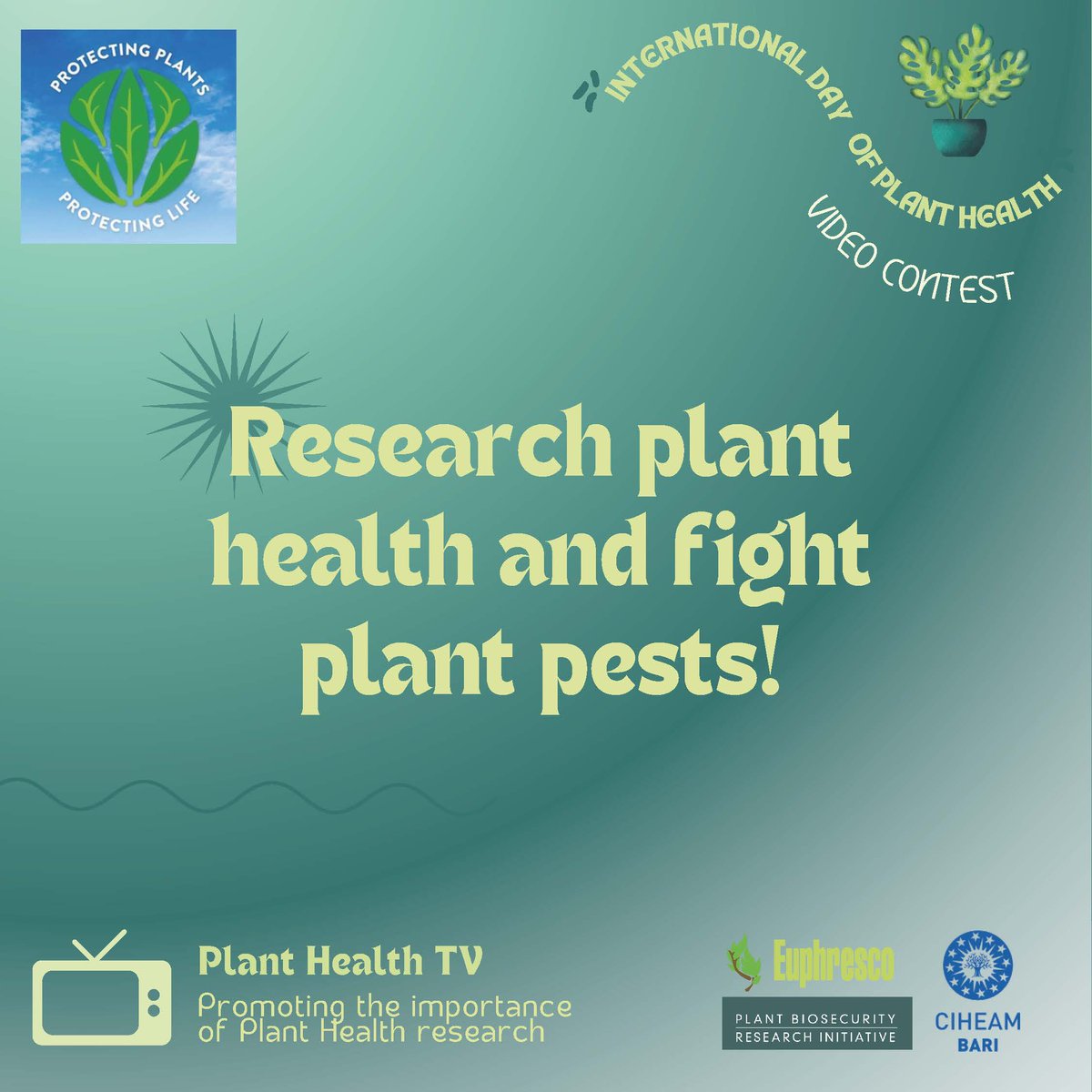 Euphresco network (@euphresco) on Twitter photo Research finds solutions to fight plant pests! Are you keen to know about research activities undertaken by students and early career researchers from <a href="/CIHEAMBari/">CIHEAM Bari</a> <a href="/MAIBFTNComm/">Ciheam FTN Community</a> <a href="/PBRI_Australia/">Plant Biosecurity Research Initiative</a> <a href="/PlantStudentNet/">Plant Health Student Network</a> ? Stay tuned and follow us on 12 May #IDPH! Research finds solutions to fight plant pests! Are you keen to know about research activities undertaken by students and early career researchers from <a href="/CIHEAMBari/">CIHEAM Bari</a> <a href="/MAIBFTNComm/">Ciheam FTN Community</a> <a href="/PBRI_Australia/">Plant Biosecurity Research Initiative</a> <a href="/PlantStudentNet/">Plant Health Student Network</a> ? Stay tuned and follow us on 12 May #IDPH!