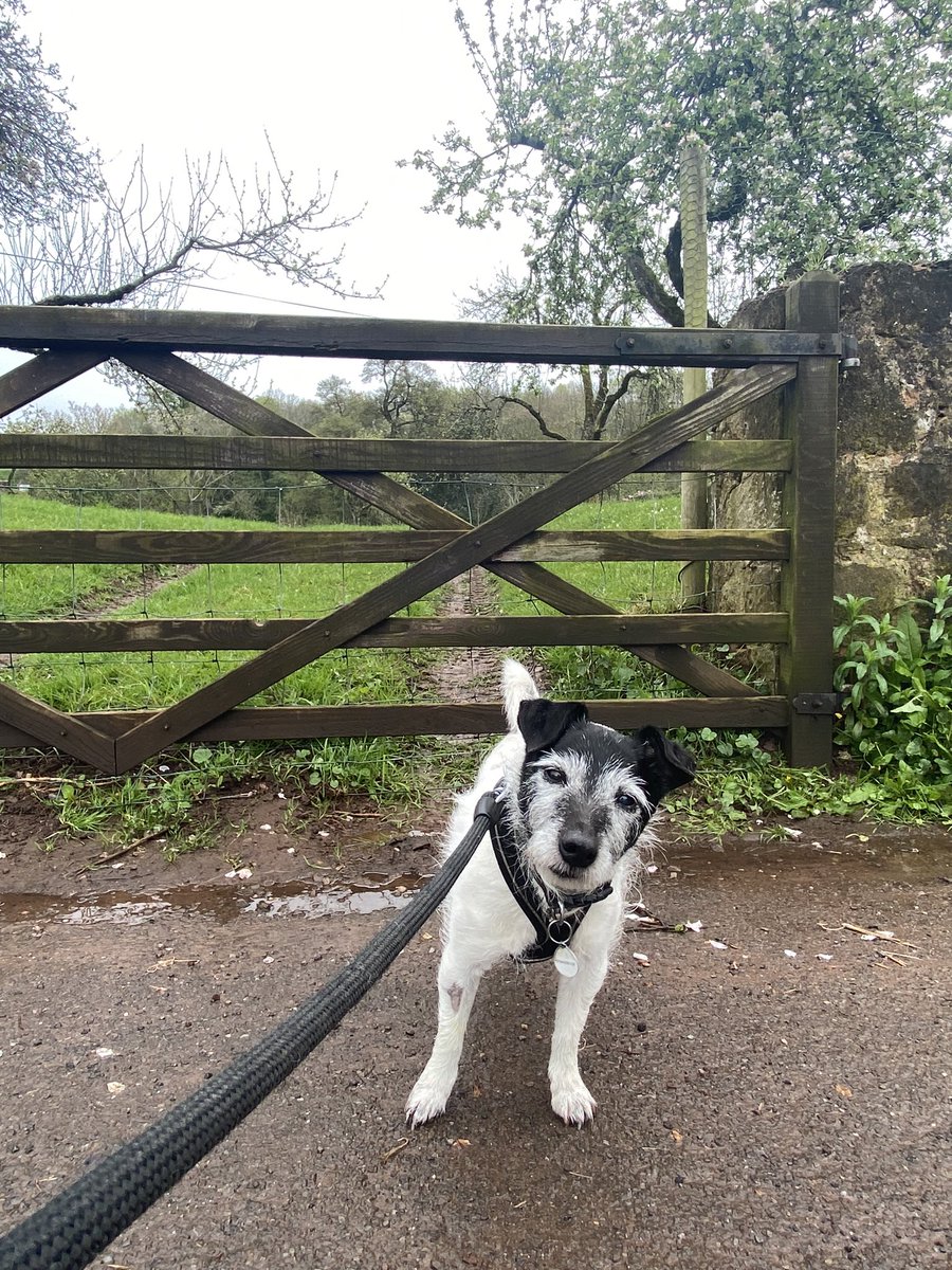 Just a little reminder from Mike… that you really don’t have to partake in a Coronation if you’d rather not… it’s really fine either way.