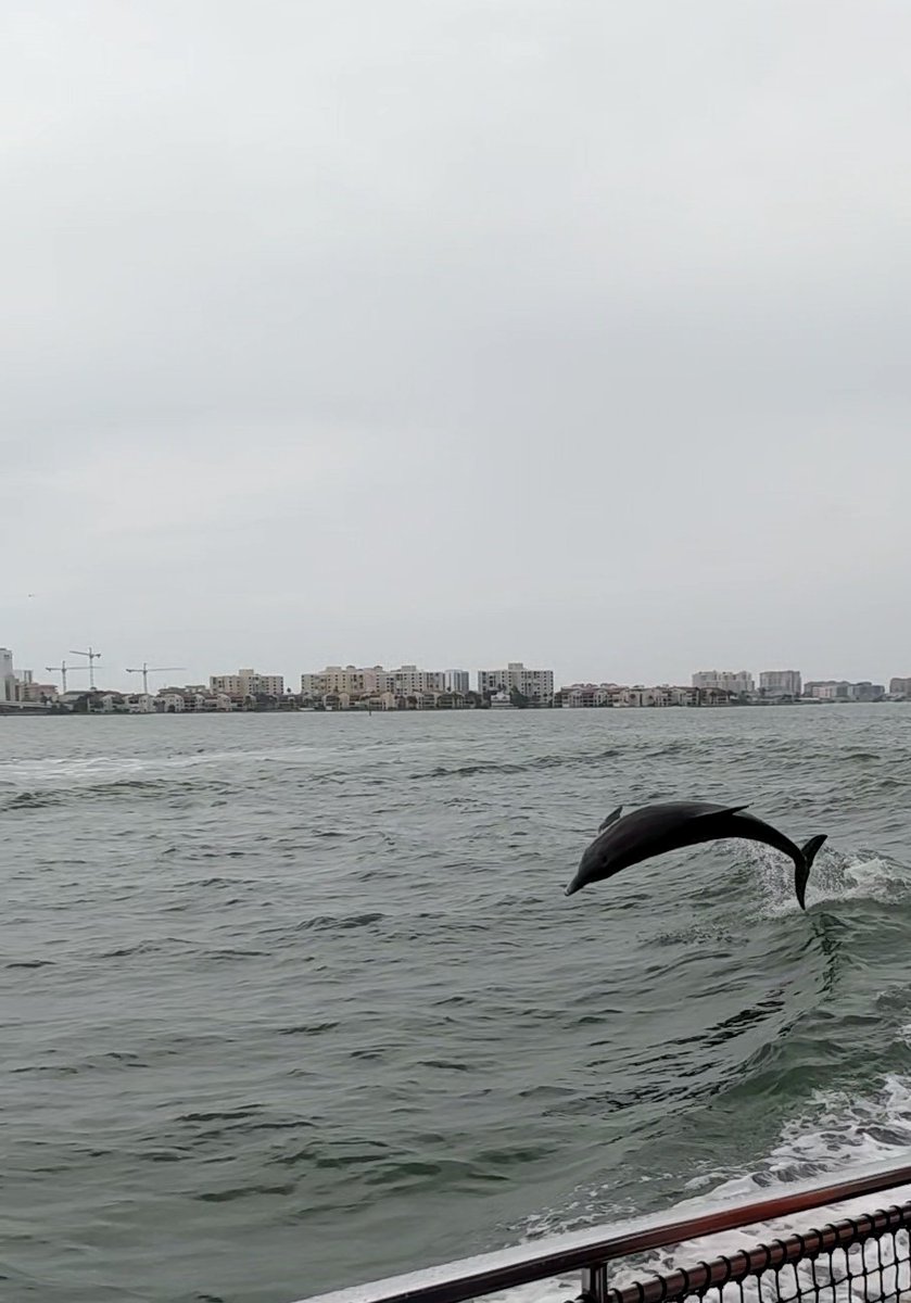 ahunt761's tweet photo. Finished off a fabulous weekend with science and the sea at #ASNTR23! https://t.co/vPHWEDpF5F