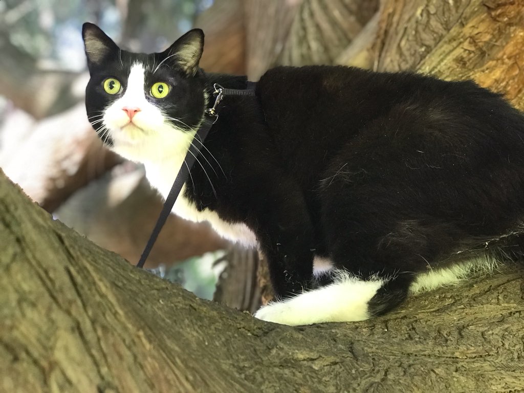 BringCubbyHome's tweet photo. https://t.co/mXidSGIXgp