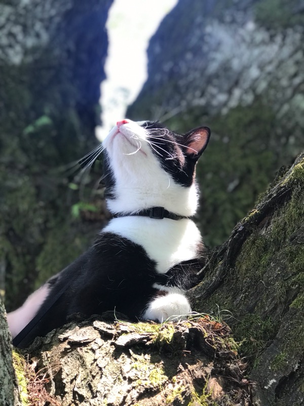 BringCubbyHome's tweet photo. https://t.co/mXidSGIXgp