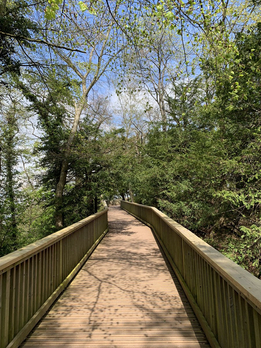 Theresa_May_PhD's tweet photo. Lovely time spent in Symonds Yat yesterday @ForestryEngland. Did a 6.5K trail run and than an 11K walk with my family.
#forest #trails #trailrunning #forestrunning #hiking #symondsyat https://t.co/t2RfMZv0bF