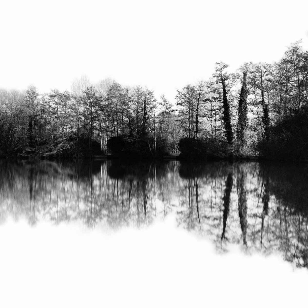 Michael Hartley tweet media