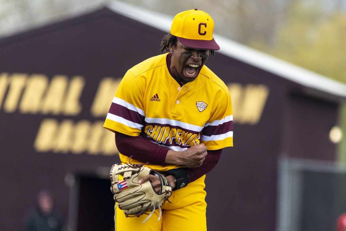CMUBaseball's tweet photo. Pure emotion.

#FireUpChips🔥⬆️⚾️ https://t.co/AEDH5znSiY