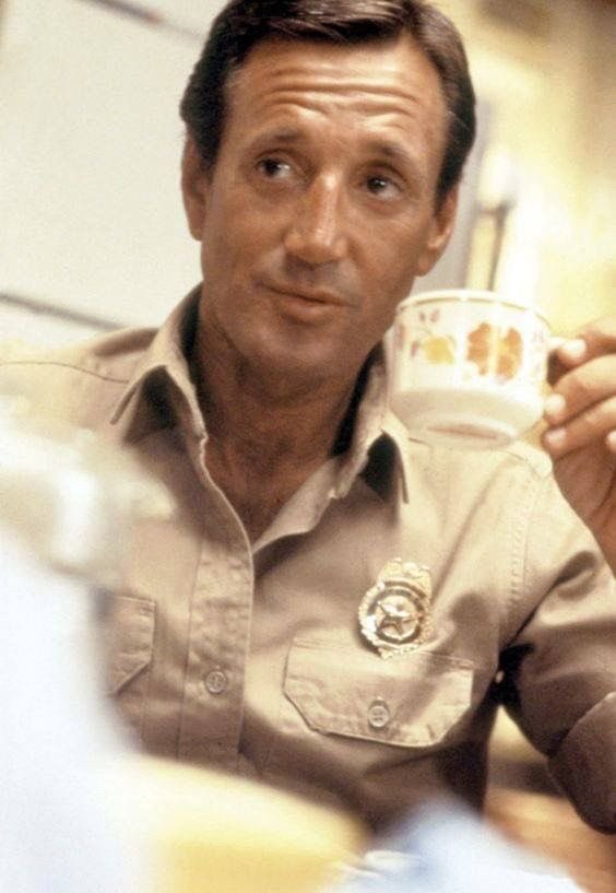 ProtonShark75's tweet photo. So I’m already getting started on some costumes and such for #JawsFest. Does anyone know what kind of boots/shoes Chief Brody wears with his uniform? I’m thinking Carhartt for the shirt and pants, but I can’t seem to find any info about the shoes. 🤷‍♂️🦈 #Jaws https://t.co/LY4Hhzcjfd
