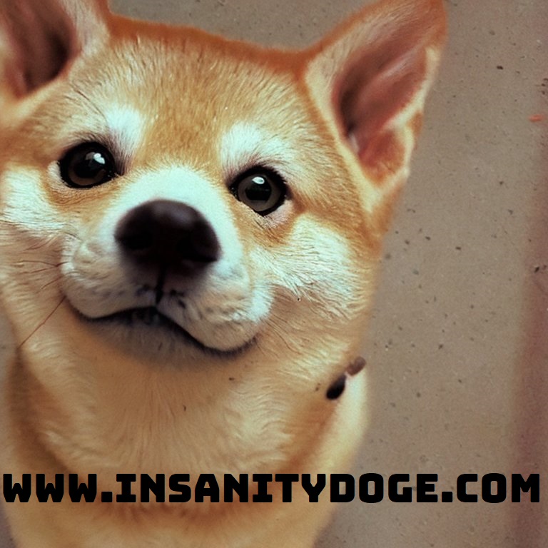 Insanity_Doge's tweet photo. @SharkyCoins Long term hold since buyers earn with dividends, not with selling the coin. Its a great, new idea for crypto. We are proud of it! https://t.co/Y1W0302iCZ