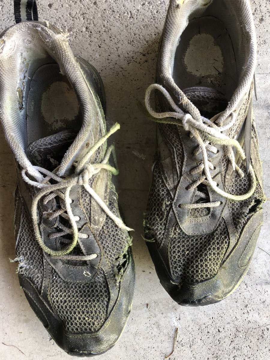 TerryMikesell's tweet photo. @midwestern_ope My grass-cutting shoes. I figure they’ve got four, maybe 5 years left. https://t.co/AAEHnPz6QX