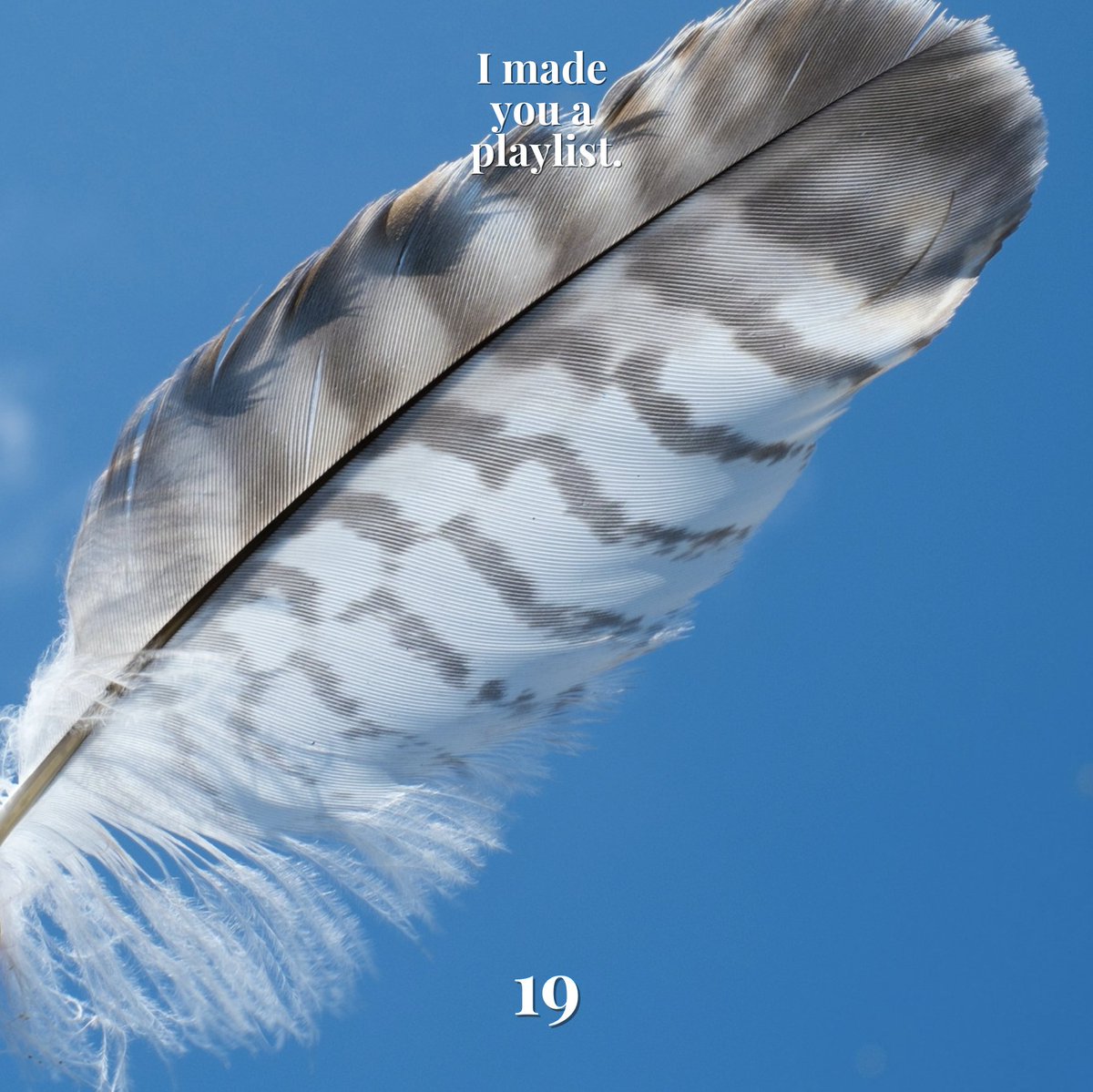 FEATHERWEIGHT is finally here! 🪶🎶 

Find new tunes, some early 2023 album faves, and plenty more springtime miscellany in the latest edition of I MADE YOU A PLAYLIST: madeyouaplaylist.substack.com/p/featherweight