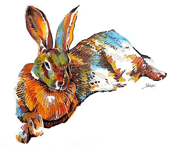 新しく絵を描こう〜と思ったんですが、納得いかなかったので再掲になります…。#動物イラスト #絵描きさんと繫がりたい #絵柄が好きっていう人にフォローされたい