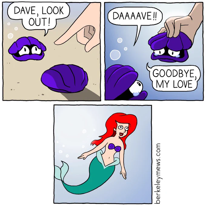 🐚🐚 