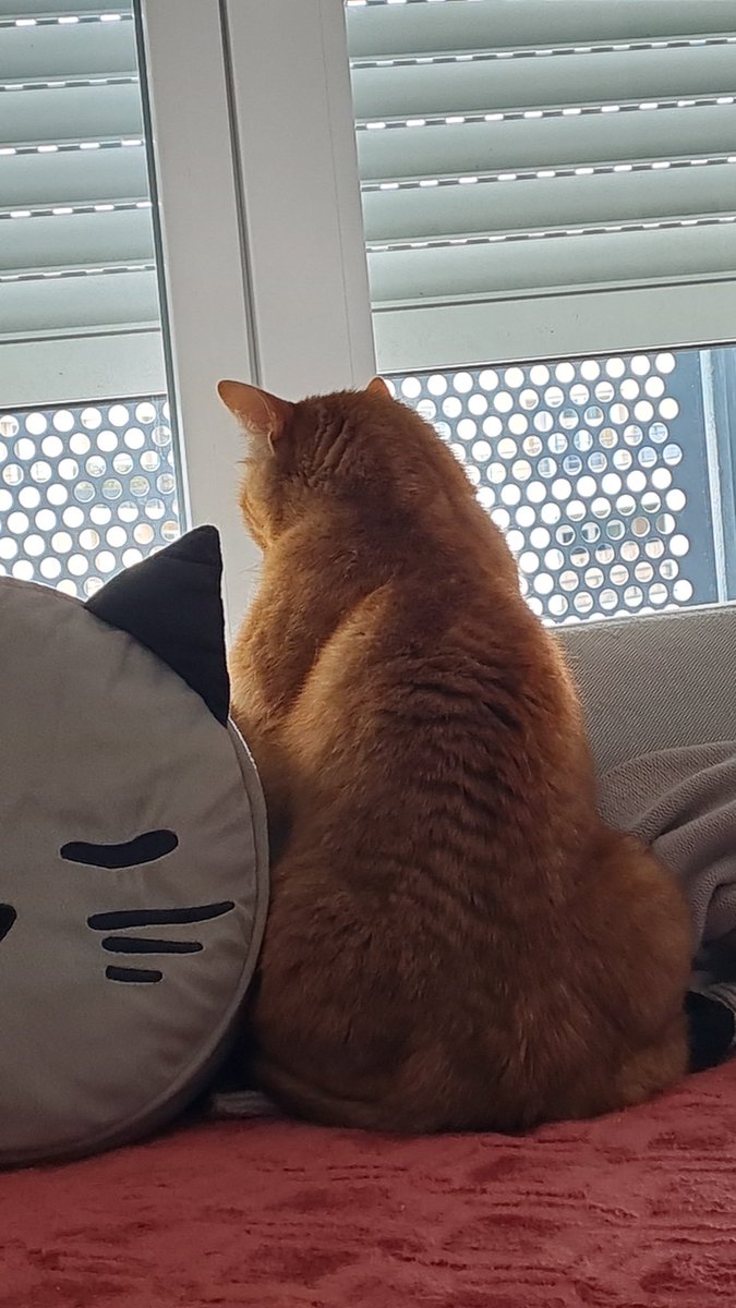 𝒉.🪷 on Twitter: