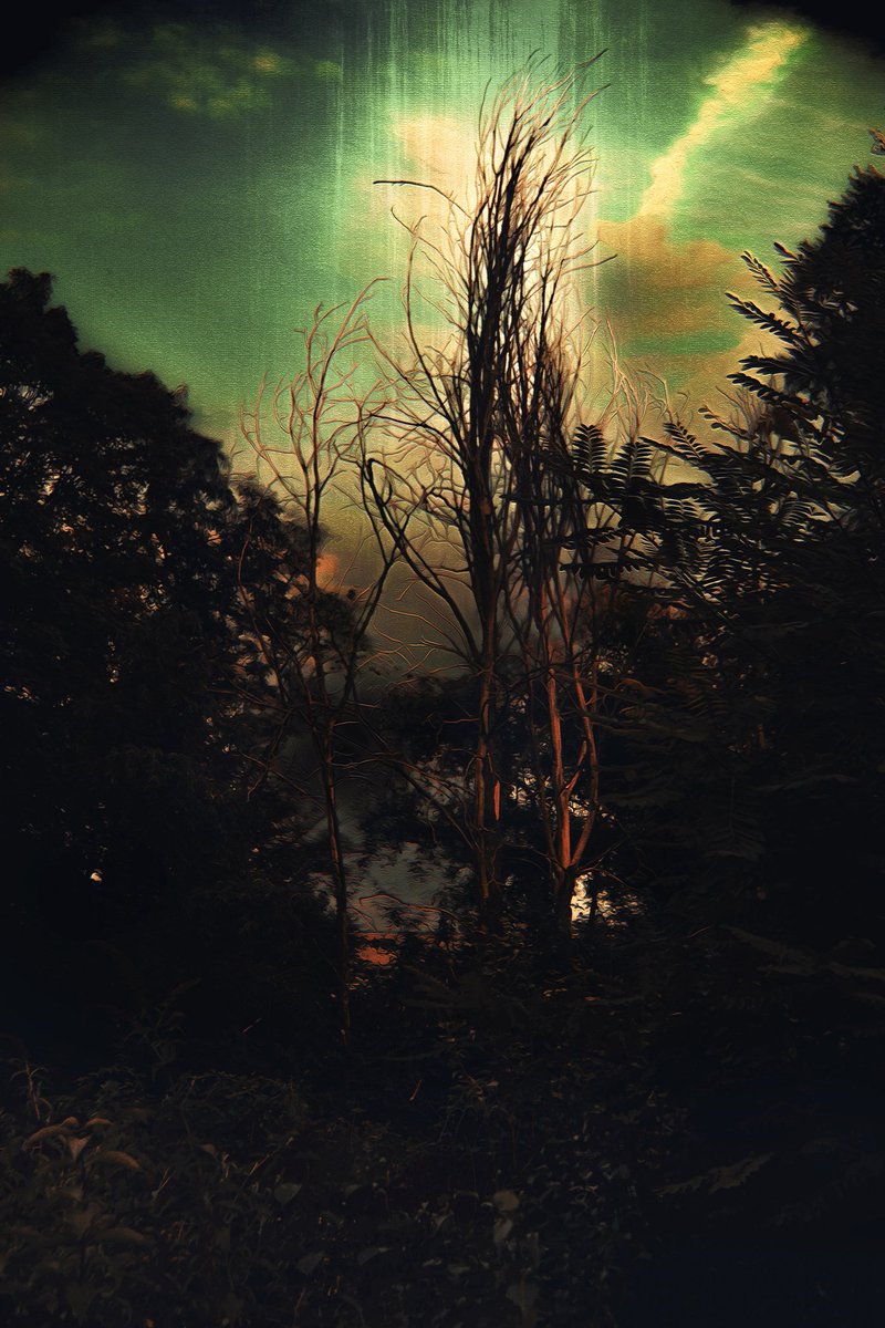 Witchcraft
Walpurgisnacht...

#photography #fotografie #art #photoart #photooftheday #Walpurgisnacht #Hexennacht #witches