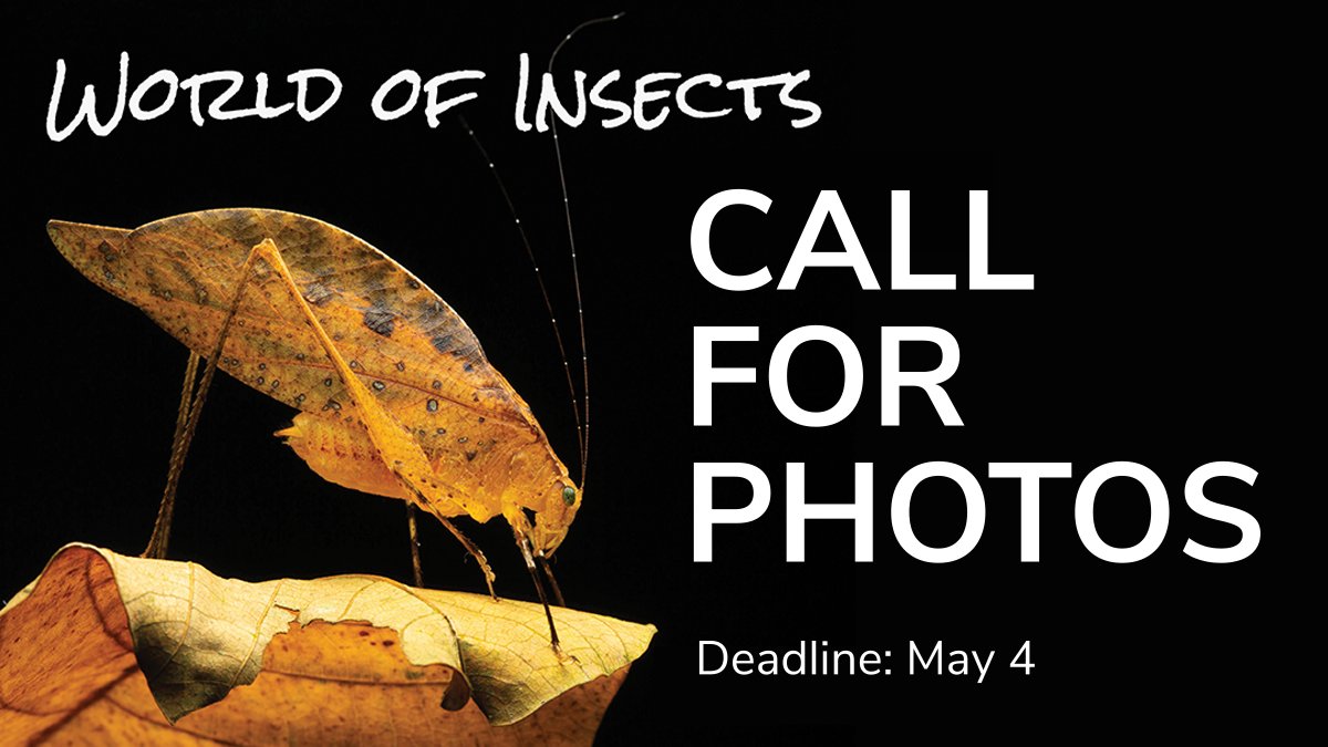 Entomological Society of America on Twitter "PHOTOS DUE THURSDAY, MAY
