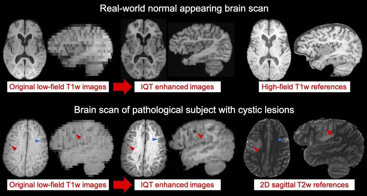 Harry Hongxiang Lin tweet media