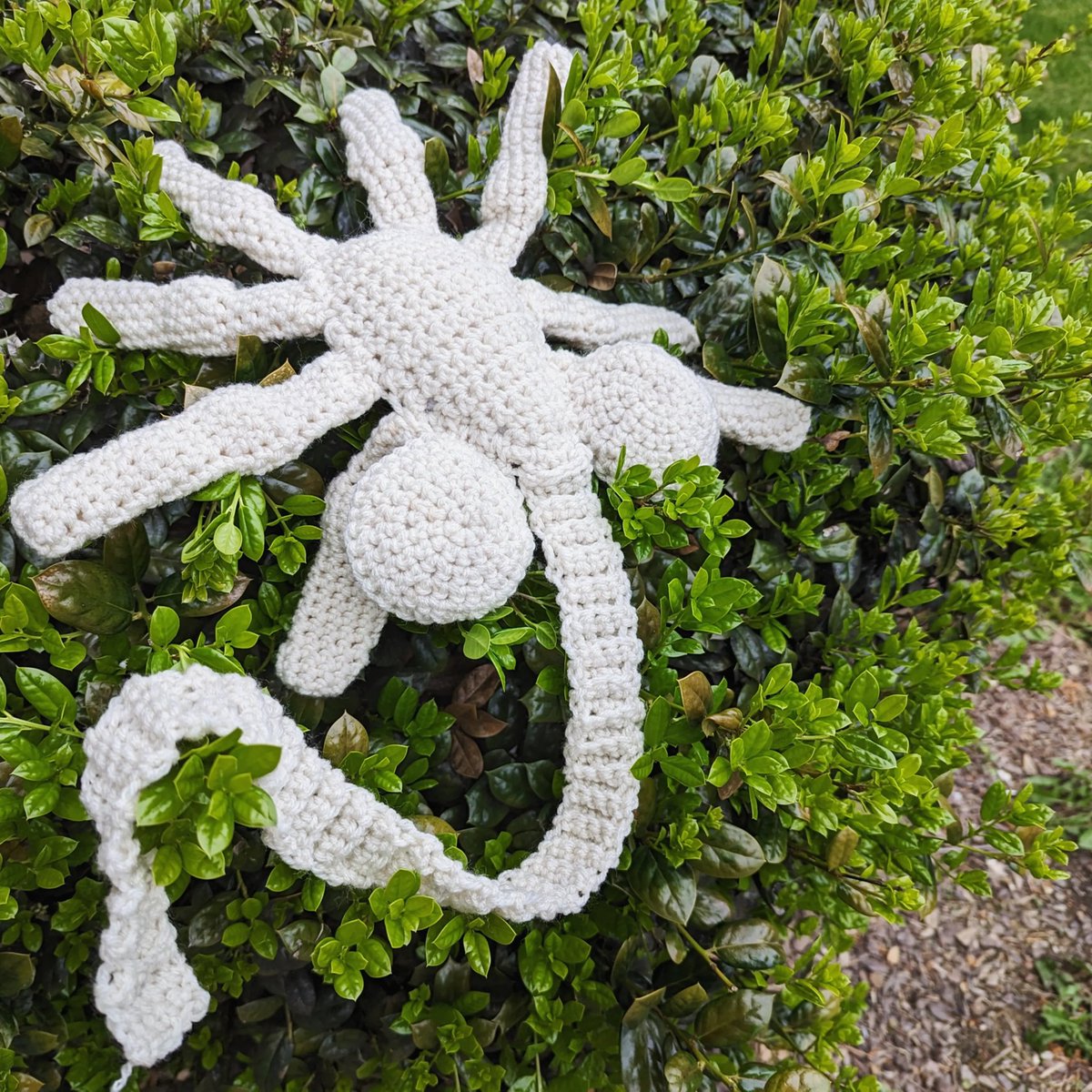 ghostlymeat's tweet photo. Crochet facehugger 😁 https://t.co/r6PRCO1JhS