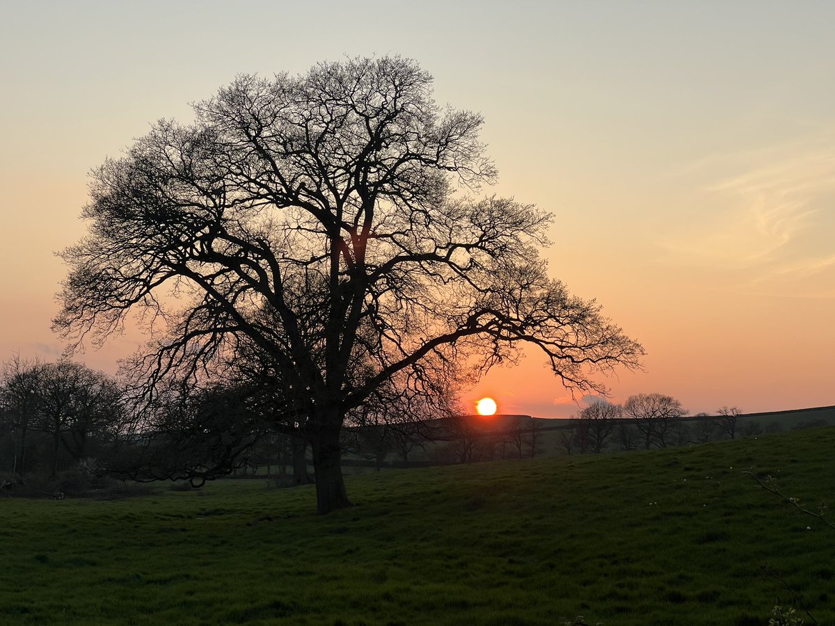 Lovely evening here in #Devon