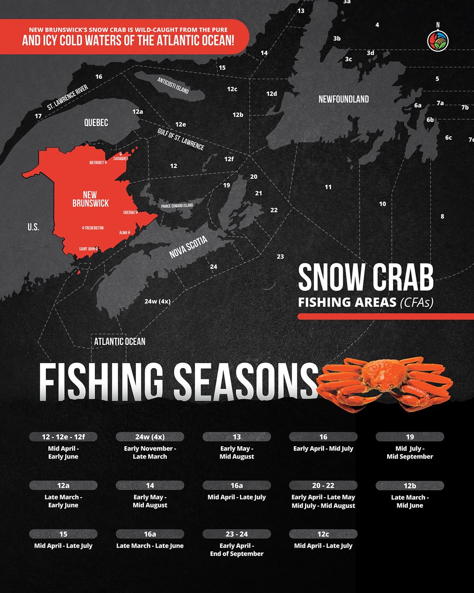 Deliciously_Can's tweet image. Zone 12 snow crab is undisputed the best-quality snow crab on the planet! Buyers all over the world have come to rely on snow crab from this zone for its polished, bright red shells, sweet natural taste, and consistent supply. #NBDeliciouslyCanadian #SnowCrab