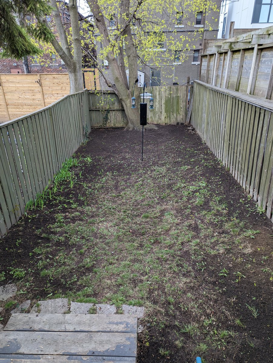 Vance Lockton tweet media