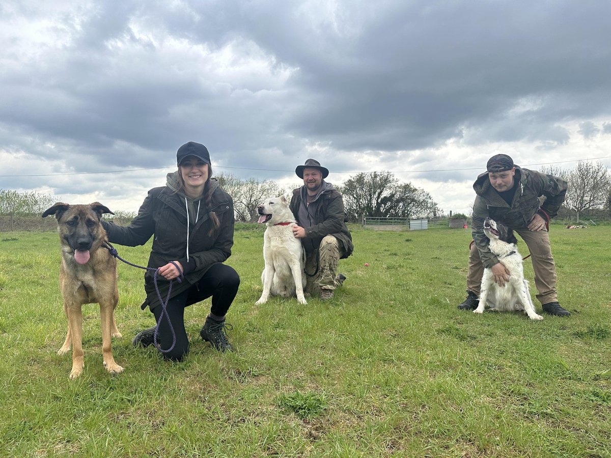 The kids and I took Big Bear to a <a href="/GWDRescue/">Girls with Dogs Rescue</a> meet-up today. He was absolutely brilliant, totally friendly with the other dogs and adored all the fuss made of him.