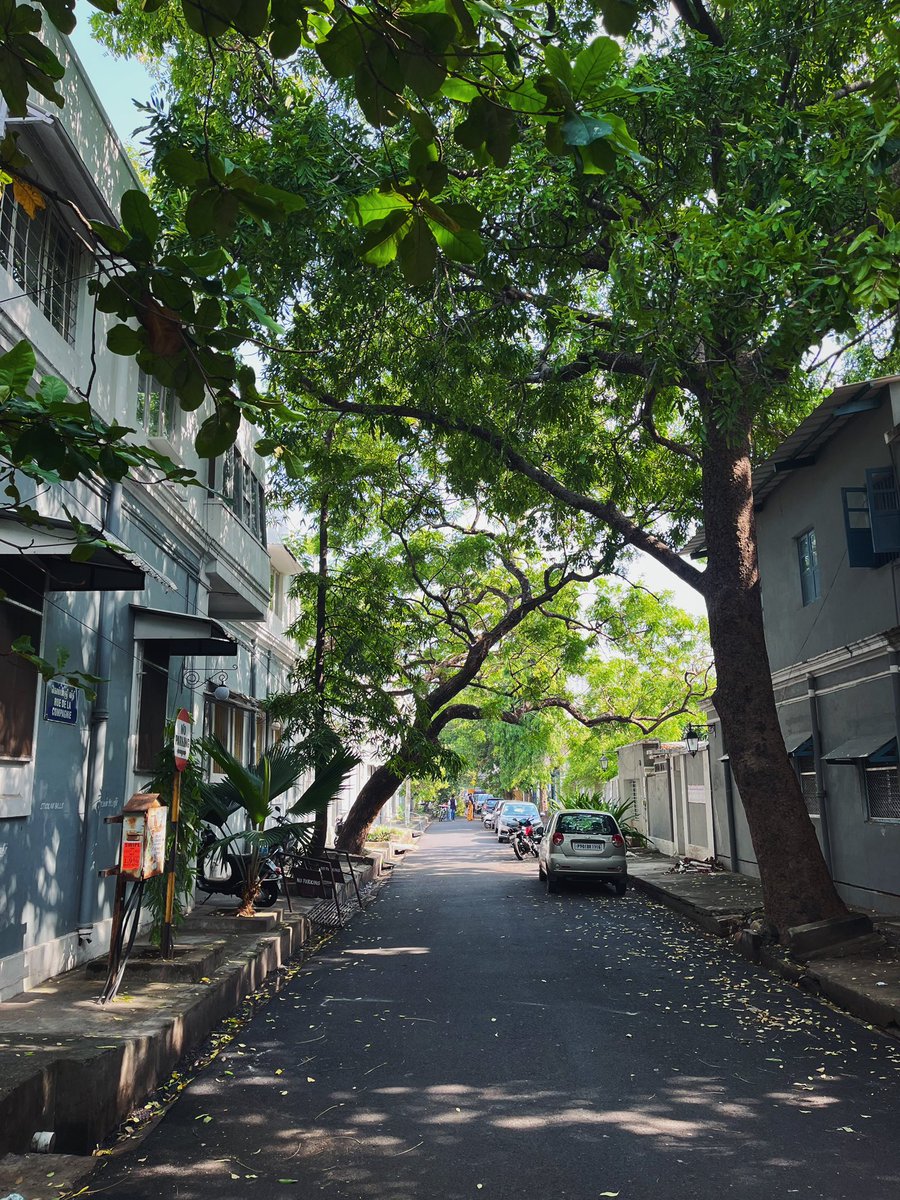 vrindsisded's tweet photo. have you been to pondicherry? https://t.co/SXFZYkR6bg