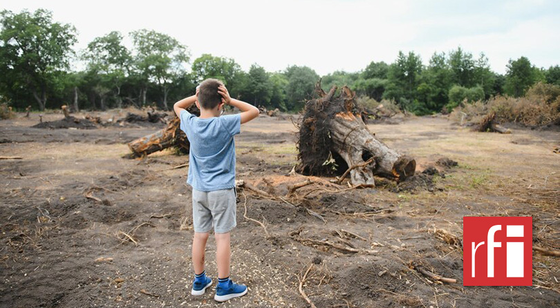 monde_biodi's tweet image. L'UE a voté la fin des importation de produit issu de la déforestation
Ainsi, l'importation d'huile de palme, de cacao/café,  soja, bois, caoutchouc, charbonde bois &amp;amp; de viande bovine sera interdite si C produit sont issu de terre déboisé après fin 2020
Une victoire immense🌱