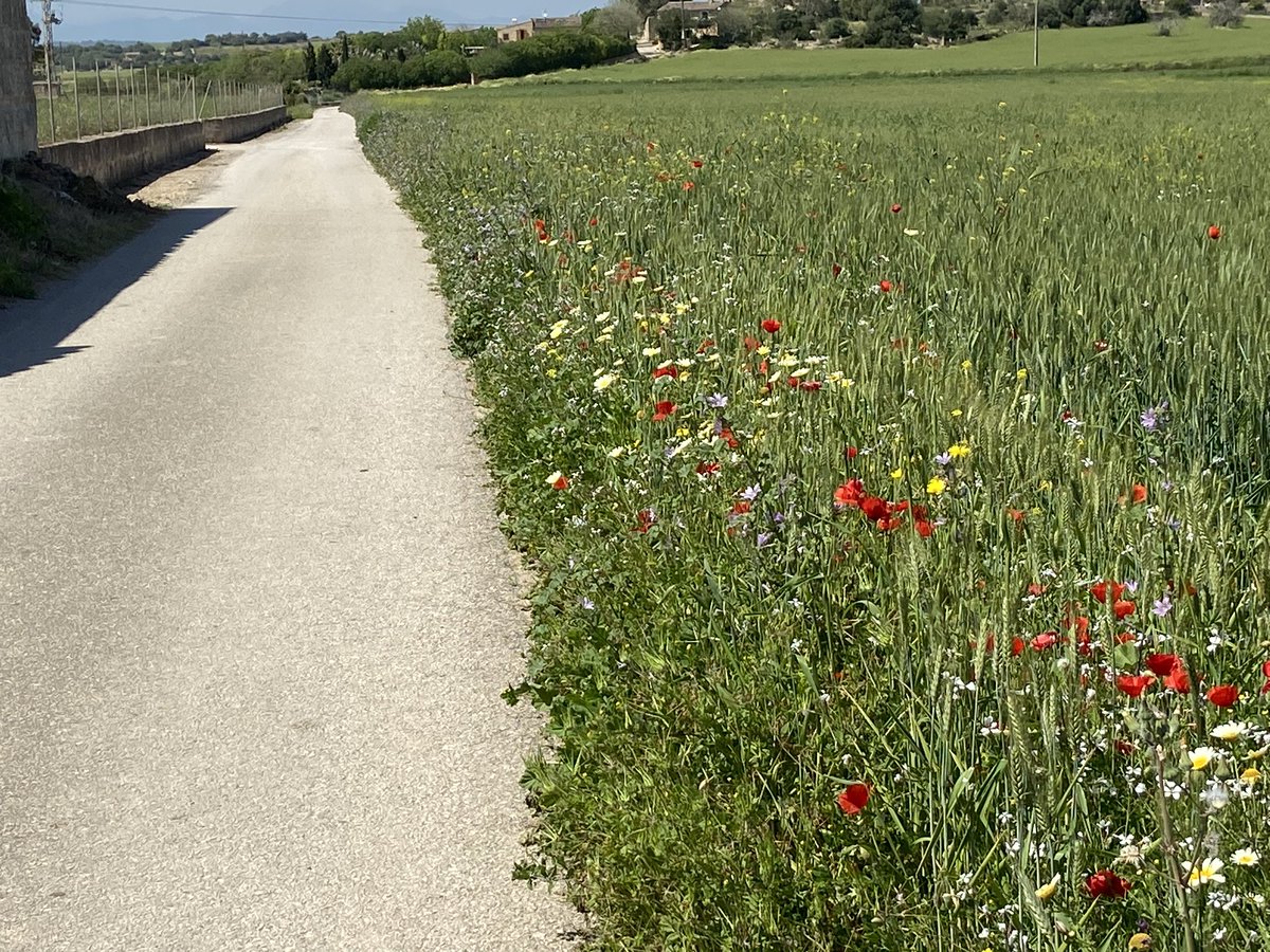 Ditto my empty road today as well 😉