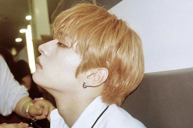 IN BROAD DAYLIGHT
– lee minho x oc au.

Micolo Gabriele Conjuanco— son of the senator and known for his quiet and snob facade. His undiminished reputation may intimidate many, but what if, even behind his wall, someone breaks into the gates?