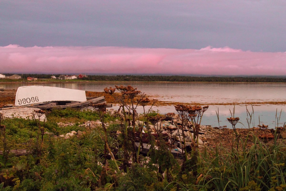 Kay Campbell tweet media