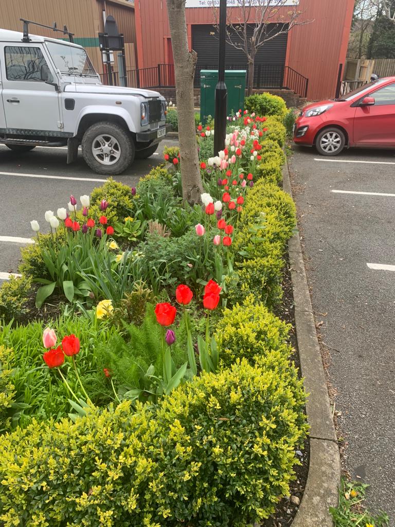 Springtime in #malton #ourbloom <a href="/visitmalton/">Visit Malton</a> <a href="/YorkshireBloom/">Yorkshire in Bloom</a> <a href="/gazetteherald/">Gazette & Herald, Ryedale</a> #spring