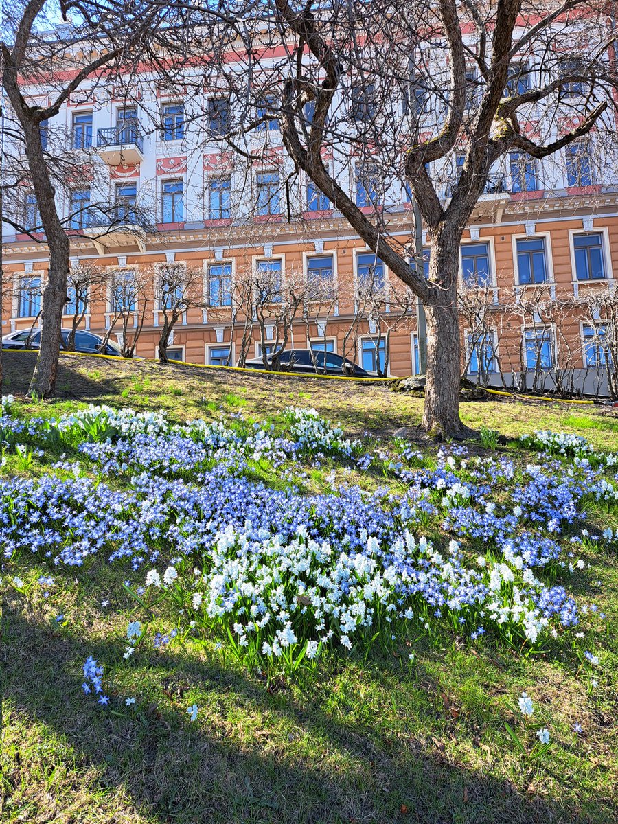 JAStovel's tweet photo. Spring has finally sprung in Helsinki!
#Spring
#Helsinki
#Finland
#spectacularsuomi https://t.co/DliN01SEIY