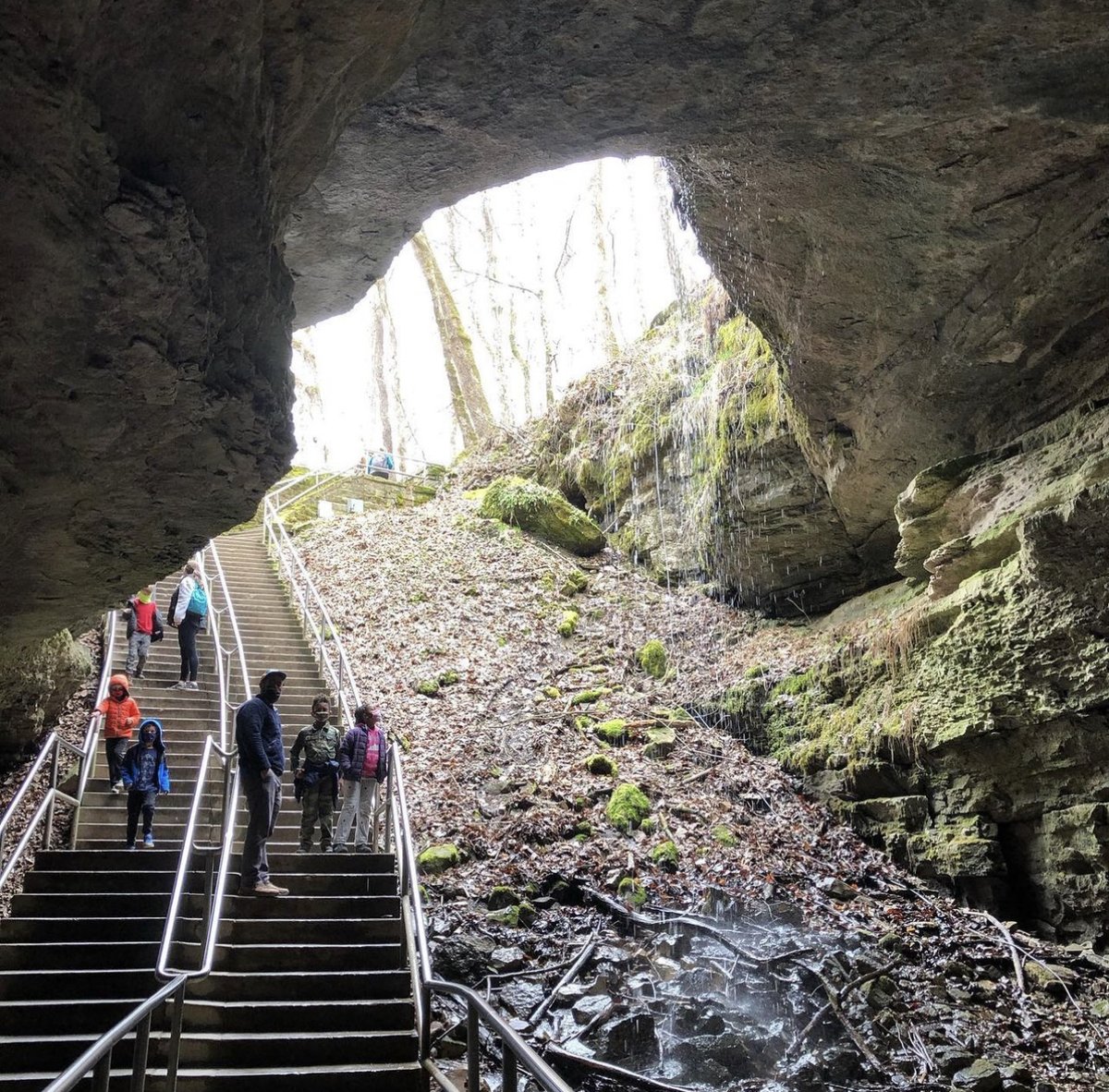 Kentucky Tourism tweet media