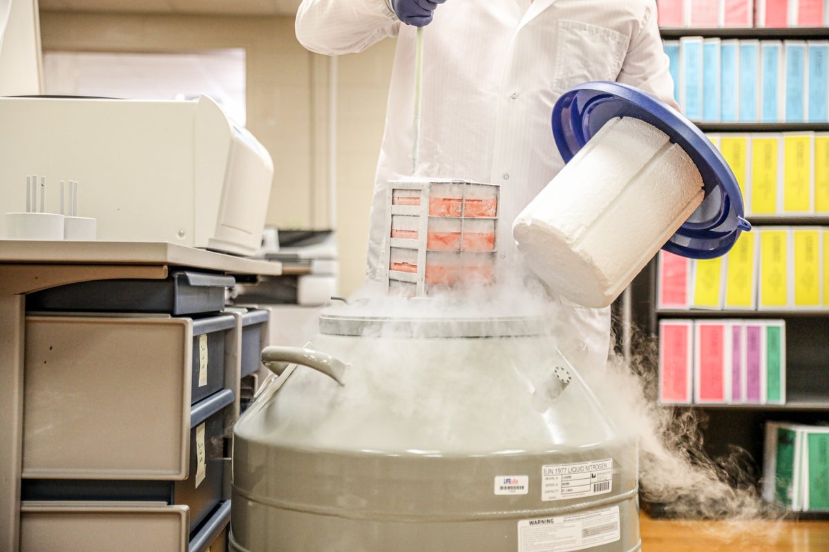LifeSouth's tweet photo. Did you know April 23-29 is #MedicalLabProfessionalsWeek? π§ͺπ¬ The good we do wouldn't be possible without our lab workers' expertise, and we're thrilled to shine a light on our wonderful team! https://t.co/ibUWDWoXfi