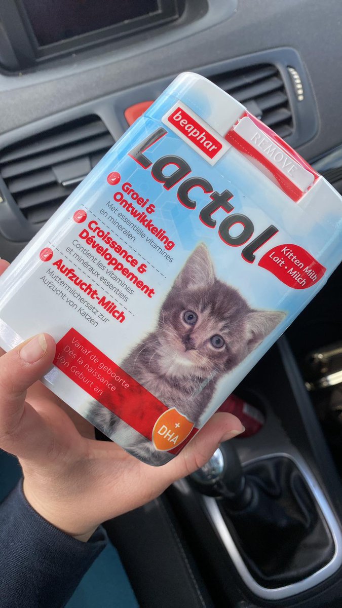 Association L'ArbraChats tweet media